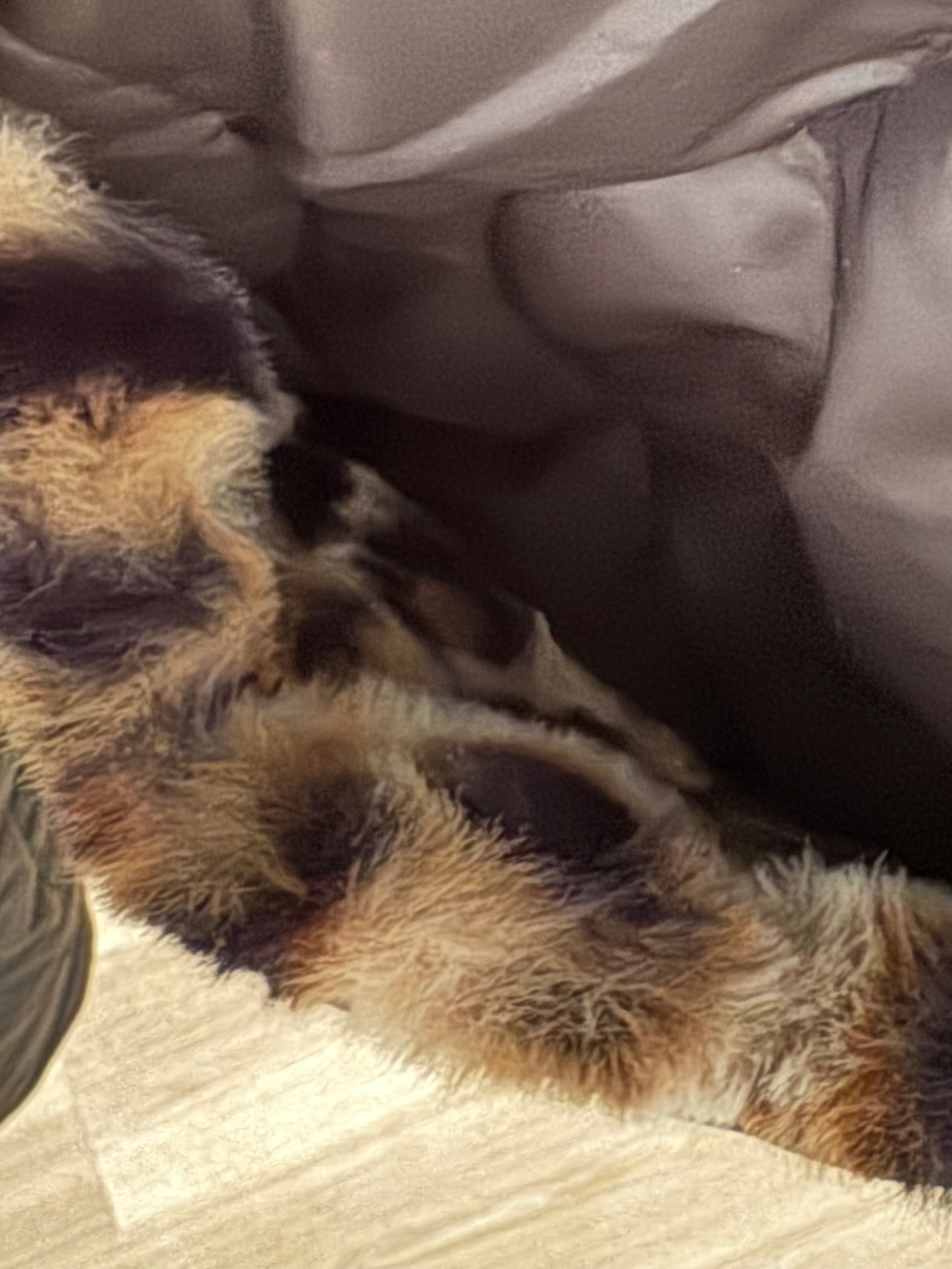 Stepp-Wendejacke Leo